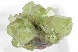 Lustrous Vesuvianite Crystal Cluster - Jeffrey Mine, Canada #240656-1